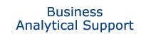 Business Analytical Support